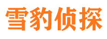 吐鲁番侦探公司